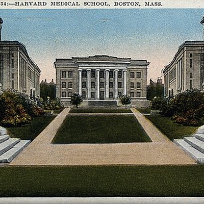 Harvard Medical School (affiliated ecosystem)