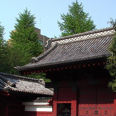 University of Tokyo (Medicine / Life Sciences)